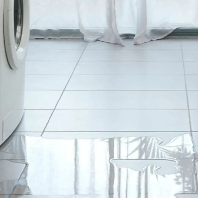 Appliance Leak Cleanup in Freeburg, IL