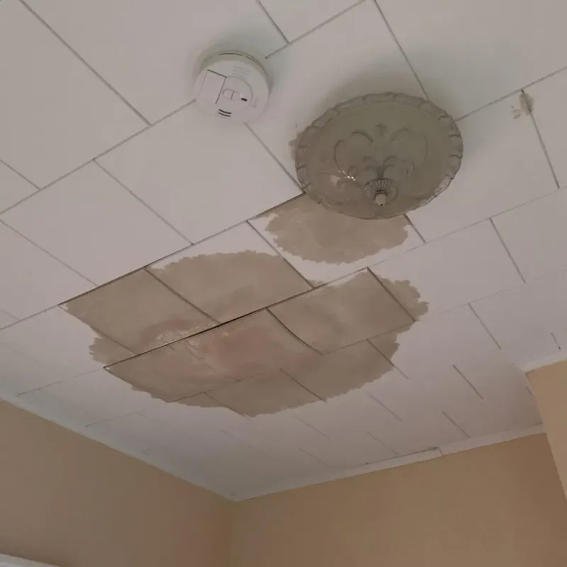 Ceiling Water Damage Repair in Freeburg, IL